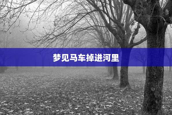 梦见马车掉进河里