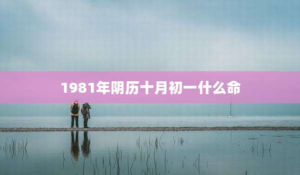 1981年阴历十月初一什么命