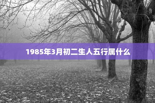 1985年3月初二生人五行属什么