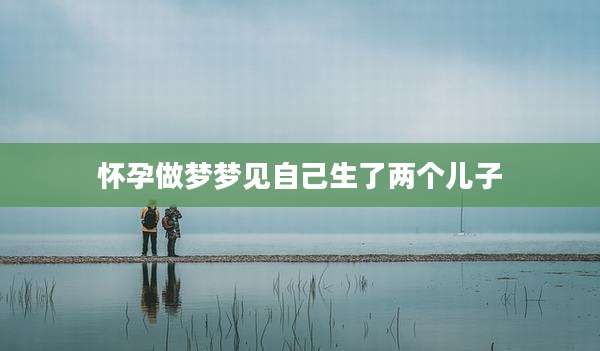 怀孕做梦梦见自己生了两个儿子