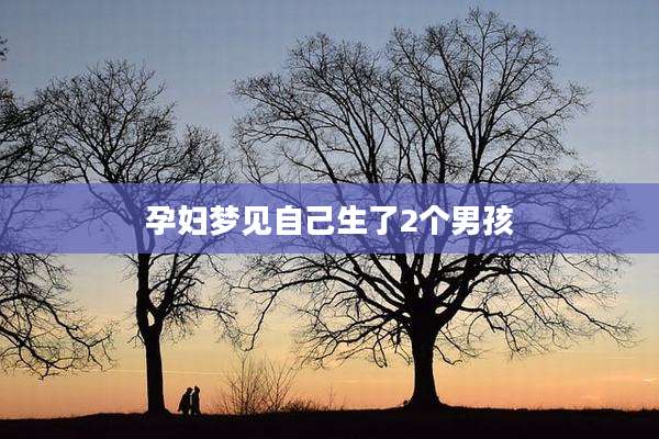 孕妇梦见自己生了2个男孩