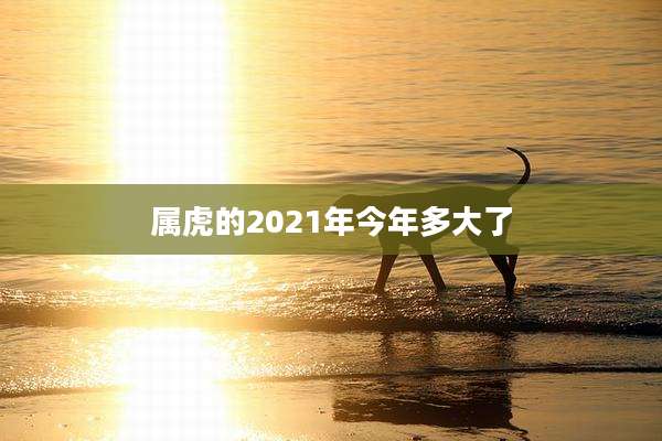 属虎的2021年今年多大了