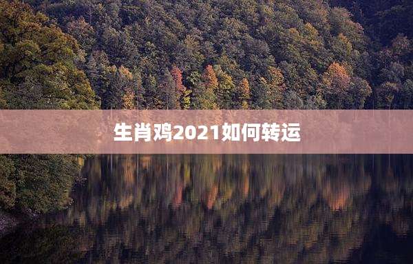 生肖鸡2021如何转运