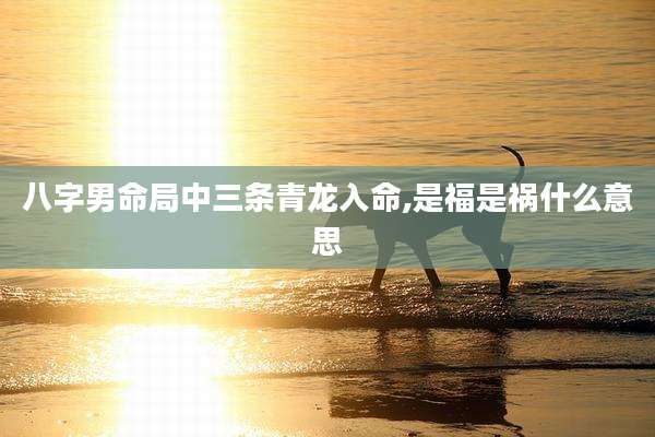 八字男命局中三条青龙入命,是福是祸什么意思