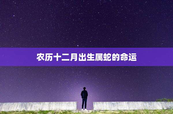 农历十二月出生属蛇的命运
