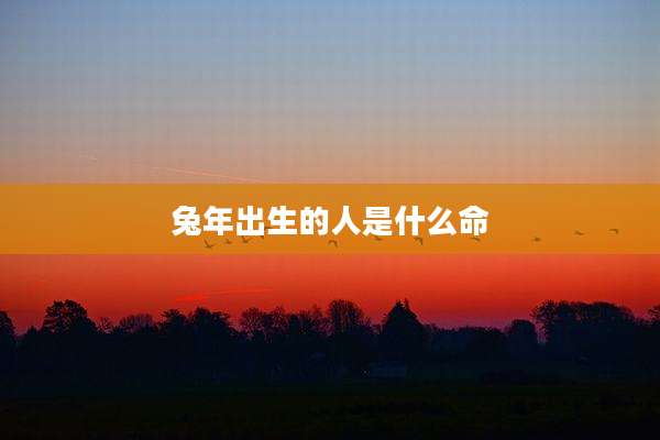 兔年出生的人是什么命