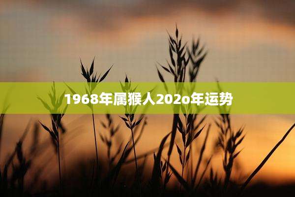 1968年属猴人202o年运势