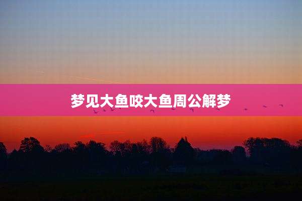 梦见大鱼咬大鱼周公解梦