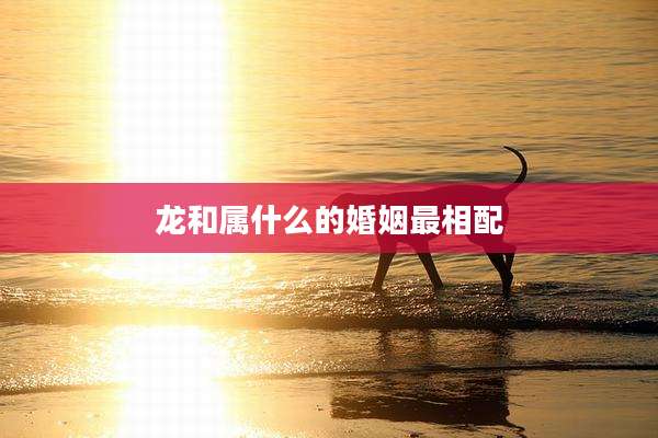 龙和属什么的婚姻最相配