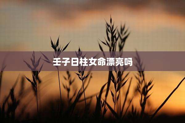 壬子日柱女命漂亮吗
