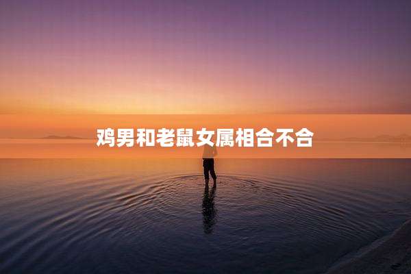 鸡男和老鼠女属相合不合