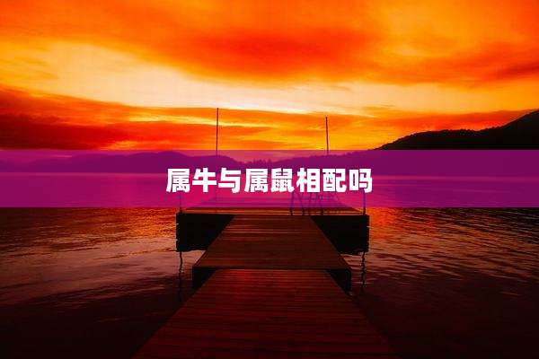 属牛与属鼠相配吗