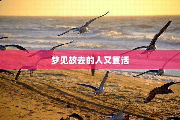 梦见故去的人又复活