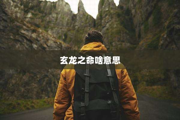 玄龙之命啥意思