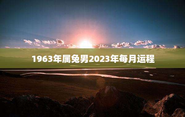 1963年属兔男2023年每月运程