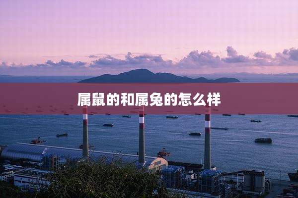 属鼠的和属兔的怎么样