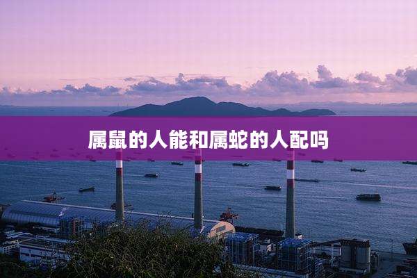 属鼠的人能和属蛇的人配吗