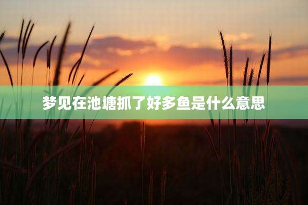 梦见在池塘抓了好多鱼是什么意思