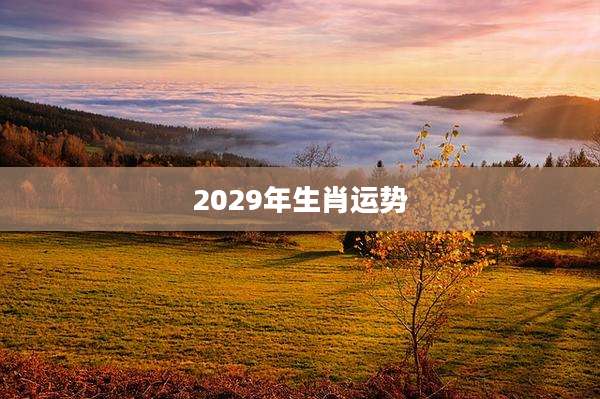 2029年生肖运势