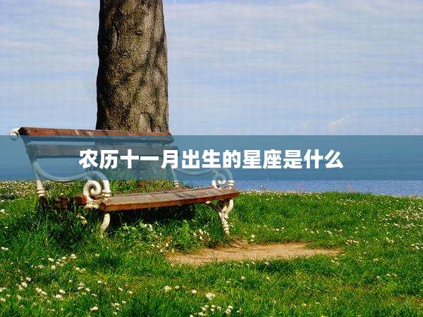 农历十一月出生的星座是什么