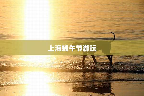 上海端午节游玩