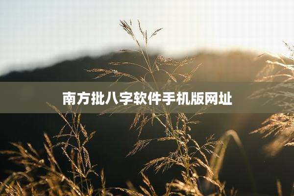 南方批八字软件手机版网址
