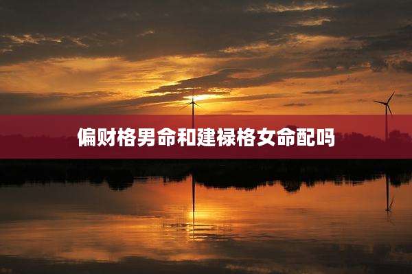 偏财格男命和建禄格女命配吗