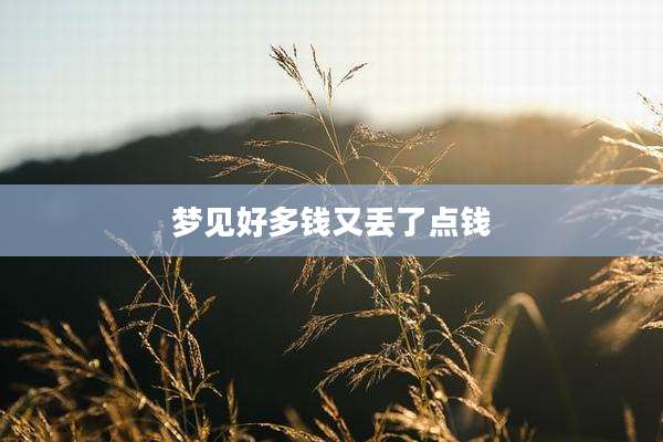 梦见好多钱又丢了点钱