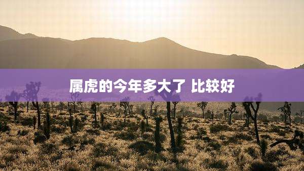属虎的今年多大了 比较好