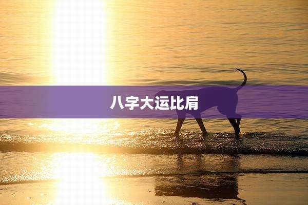 八字大运比肩