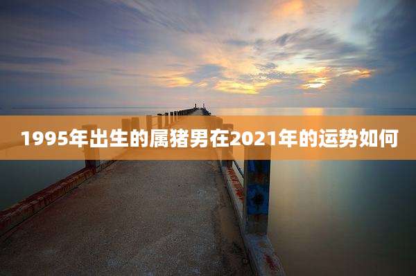 1995年出生的属猪男在2021年的运势如何