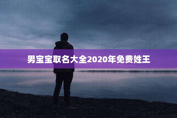 男宝宝取名大全2020年免费姓王