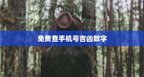 免费查手机号吉凶数字