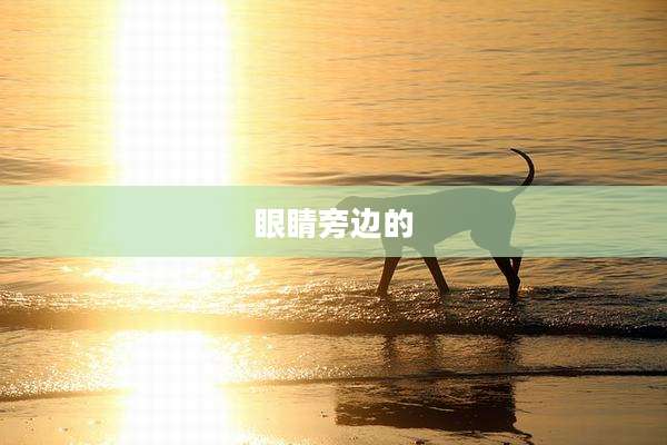 眼睛旁边的