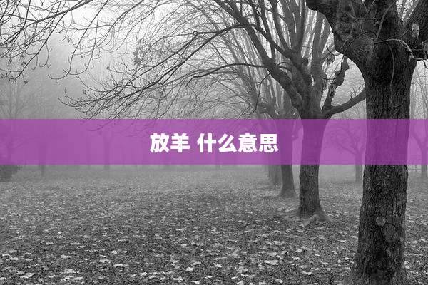 放羊 什么意思