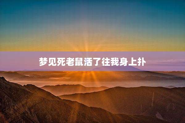 梦见死老鼠活了往我身上扑