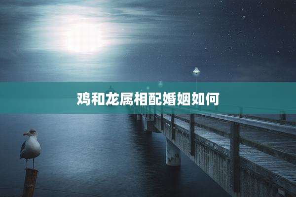 鸡和龙属相配婚姻如何