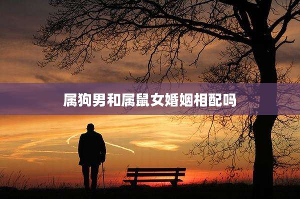 属狗男和属鼠女婚姻相配吗