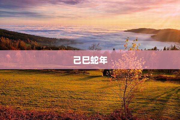 己巳蛇年
