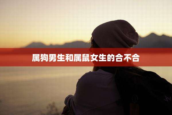 属狗男生和属鼠女生的合不合