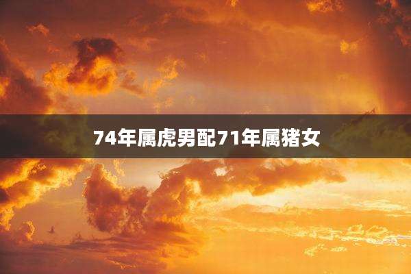74年属虎男配71年属猪女