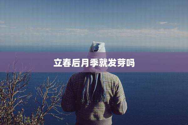 立春后月季就发芽吗