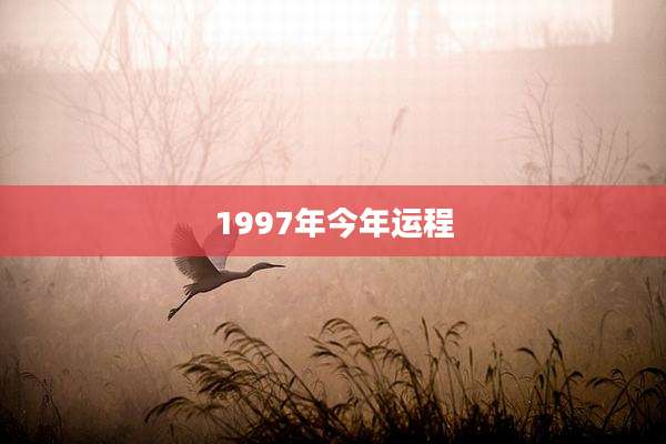 1997年今年运程