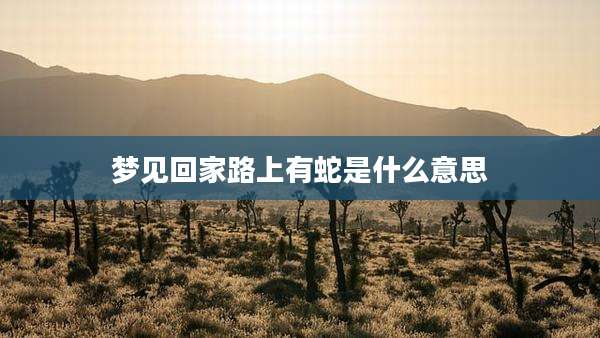 梦见回家路上有蛇是什么意思