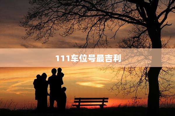 111车位号最吉利