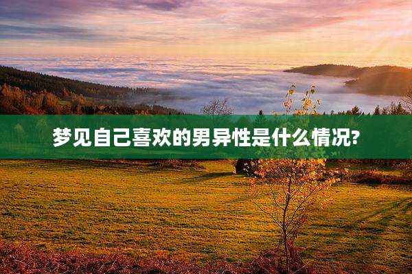 梦见自己喜欢的男异性是什么情况?