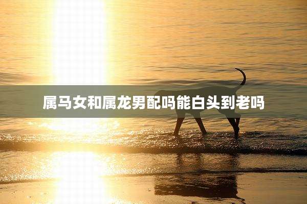 属马女和属龙男配吗能白头到老吗