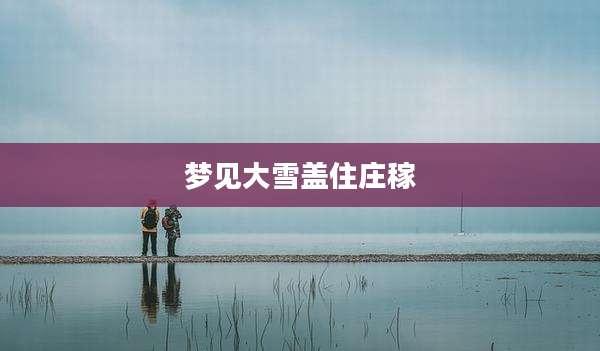 梦见大雪盖住庄稼