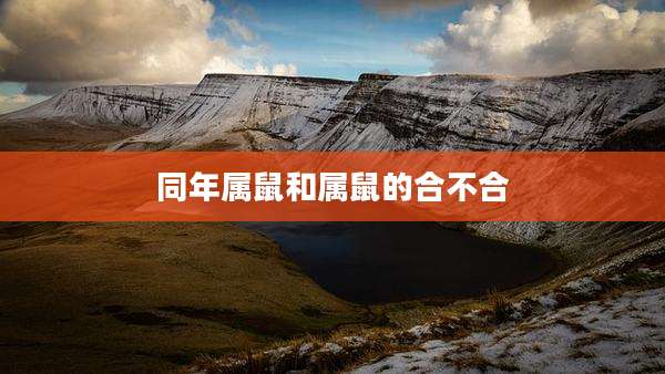 同年属鼠和属鼠的合不合