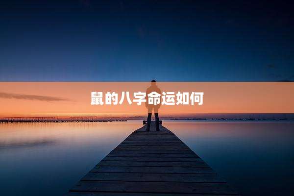 鼠的八字命运如何